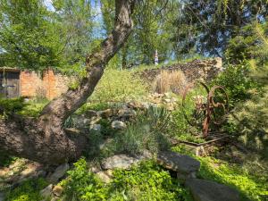 Prodej chalupy, Číčenice - Strpí, 220 m2