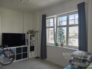 Pronájem bytu 1+kk, Praha - Podolí, Pravá, 27 m2