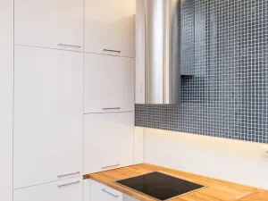 Pronájem bytu 2+kk, Praha - Vinohrady, Londýnská, 54 m2