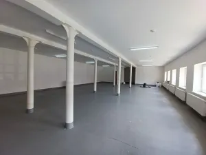 Pronájem skladu, Úžice, 150 m2