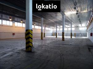 Pronájem skladu, Kostěnice, 2462 m2