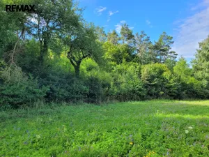 Prodej louky, Sýkořice, 3885 m2