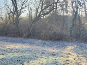 Prodej louky, Sýkořice, 3885 m2