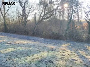 Prodej louky, Sýkořice, 3885 m2