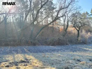 Prodej louky, Sýkořice, 3885 m2