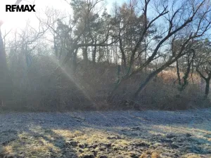 Prodej louky, Sýkořice, 3885 m2