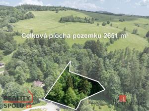 Prodej pozemku pro bydlení, Červená Voda - Šanov, 2651 m2