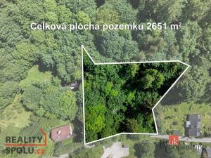 Prodej pozemku pro bydlení, Červená Voda - Šanov, 2651 m2