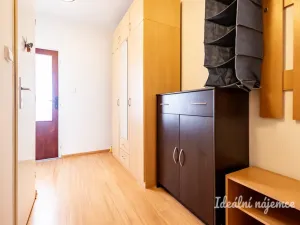 Pronájem bytu 2+kk, Praha - Petrovice, Lessnerova, 43 m2