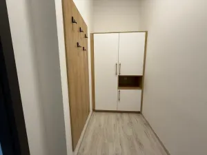 Pronájem bytu 1+kk, Ústí nad Labem - Střekov, Žukovova, 29 m2