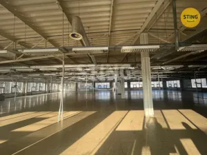 Pronájem skladu, Ostrava, Uhlířská, 500 m2