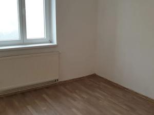 Pronájem bytu 1+1, Novosedlice, Drahénská, 28 m2