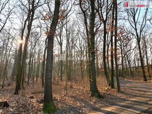 Prodej zahrady, Teplice - Řetenice, 320 m2