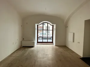 Pronájem obchodního prostoru, Praha - Nové Město, Soukenická, 32 m2