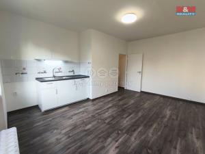 Pronájem bytu 1+kk, Havířov - Město, Dělnická, 22 m2