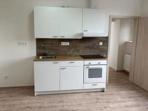 Pronájem bytu 1+kk, Radnice, náměstí Kašpara Šternberka, 38 m2