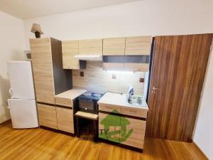 Pronájem bytu 1+kk, Sudoměřice u Bechyně, 24 m2