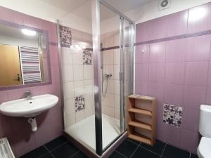 Pronájem bytu 1+kk, Zábřeh, U Horního rybníka, 30 m2