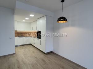 Pronájem bytu 2+kk, České Budějovice, Branišovská, 52 m2