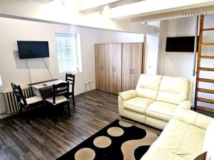 Pronájem bytu 1+kk, Kralupy nad Vltavou, Šmeralova, 38 m2