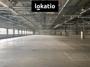 Pronájem skladu, Plzeň, U Nové Hospody, 16000 m2