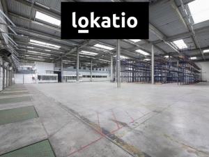 Pronájem skladu, Plzeň, U Nové Hospody, 16000 m2