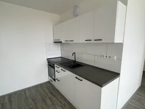 Pronájem bytu 2+kk, Litvínov, Kopistská, 40 m2