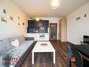 Prodej bytu 1+kk, Beroun - Beroun-Město, U Archivu, 32 m2