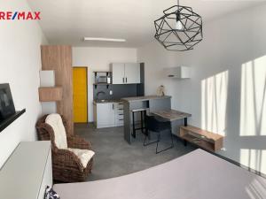 Pronájem bytu 1+kk, Havířov - Město, E. F. Buriana, 24 m2