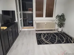 Pronájem bytu 1+kk, Ostrava - Moravská Ostrava, Lechowiczova, 30 m2