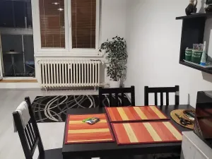 Pronájem bytu 1+kk, Ostrava - Moravská Ostrava, Lechowiczova, 30 m2