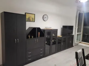 Pronájem bytu 1+kk, Ostrava - Moravská Ostrava, Lechowiczova, 30 m2