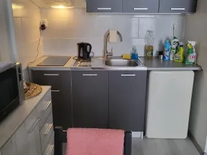 Pronájem bytu 1+kk, Ostrava - Moravská Ostrava, Lechowiczova, 30 m2