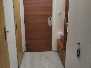 Pronájem bytu 1+kk, Ostrava - Moravská Ostrava, Lechowiczova, 30 m2