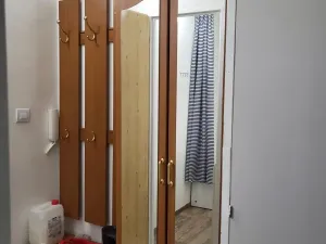 Pronájem bytu 1+kk, Ostrava - Moravská Ostrava, Lechowiczova, 30 m2