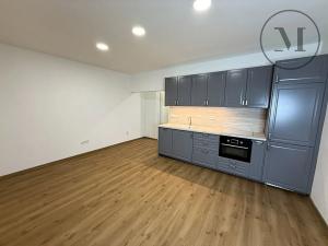 Pronájem bytu 1+kk, České Budějovice, Dělnická, 34 m2