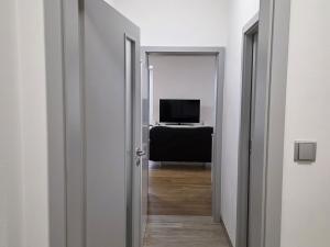 Pronájem bytu 1+kk, Plzeň, Na Rybníčku, 51 m2