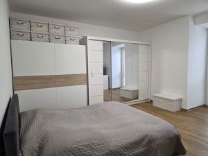 Pronájem bytu 1+kk, Plzeň, Na Rybníčku, 51 m2