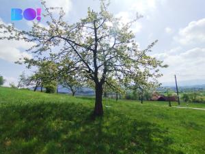 Prodej chalupy, Kozlovice, 155 m2