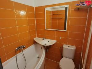 Pronájem bytu 1+kk, Dolní Benešov, Osada míru, 30 m2