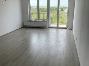 Pronájem bytu 1+kk, Pardubice, Pod Vinicí, 38 m2