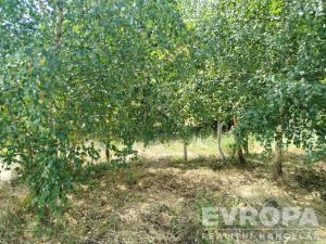 Prodej pozemku pro bydlení, Moraveč, 1950 m2