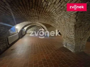 Pronájem obchodního prostoru, Uherské Hradiště, 650 m2