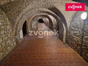 Pronájem obchodního prostoru, Uherské Hradiště, 650 m2