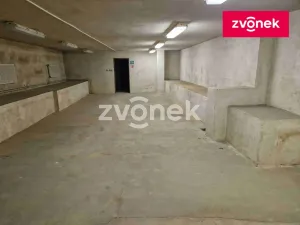 Pronájem obchodního prostoru, Uherské Hradiště, 650 m2