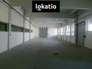 Pronájem skladu, Olomouc, 567 m2
