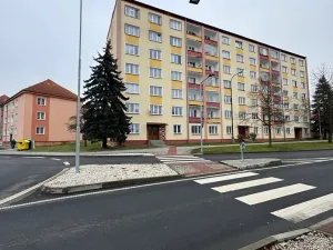 Prodej bytu 2+1, Cheb, Osvobození, 56 m2