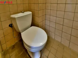 Pronájem obchodního prostoru, Hradec Králové - Pražské Předměstí, Horova, 70 m2