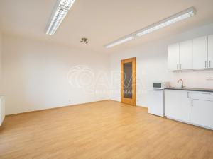 Pronájem bytu 1+kk, Praha - Michle, Hanusova, 35 m2