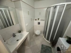 Prodej bytu 1+kk, Šternberk, Panská, 47 m2